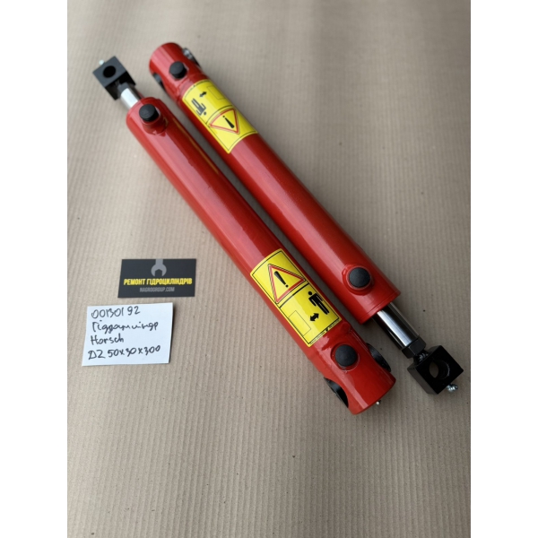 00130192 Гідроциліндр Horsch DZ50x30x300
