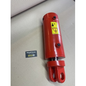 00130195 Гідроциліндр Horsch DZ 120x50x125 00130195 Гідроциліндр Horsch DZ 120x50x125
