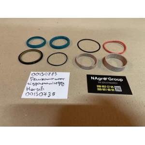 00130883 Ремкомплект гідроциліндру Horsch 00130736