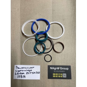 Ремкомлект гідроциліндра Lemken 111B111